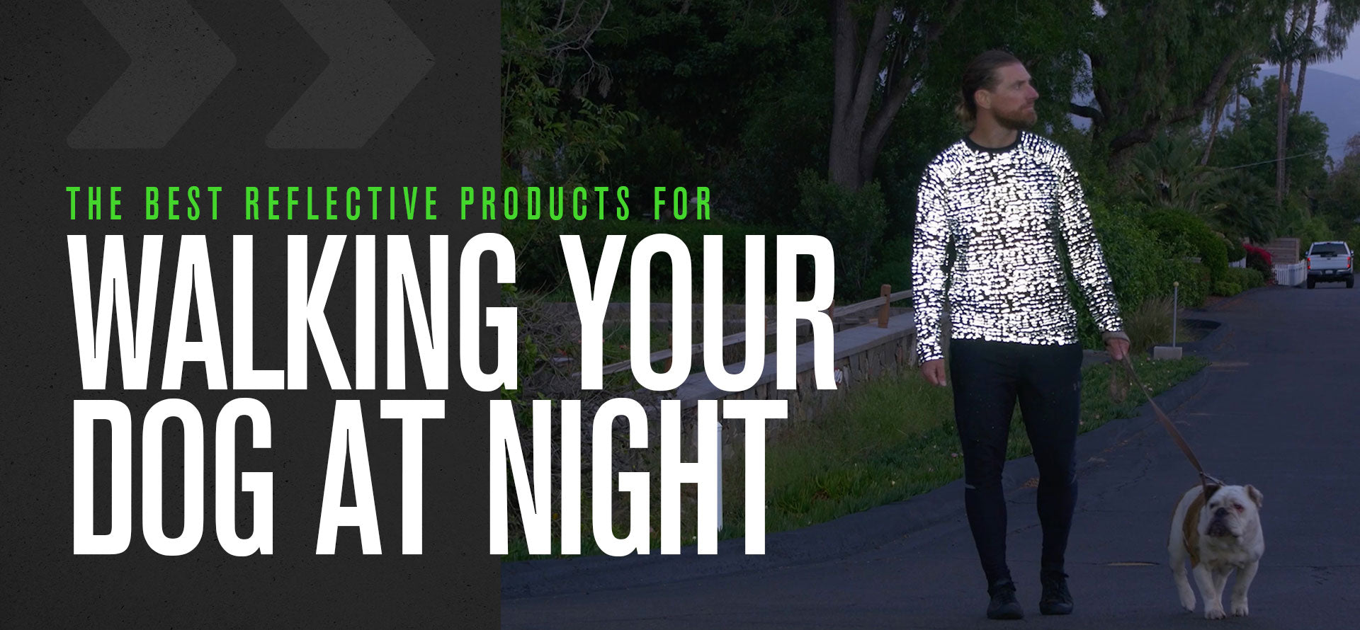 The Best Reflective Products For Walking Your Dog At Night WildSpark