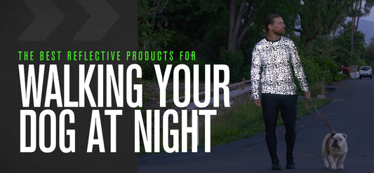 The Best Reflective Products For Walking Your Dog At Night
